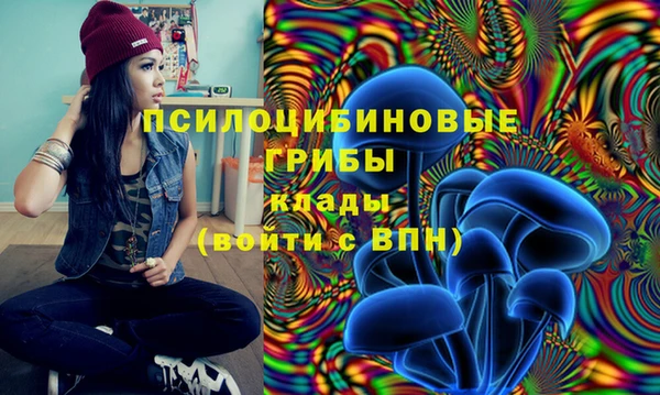 ПСИЛОЦИБИНОВЫЕ ГРИБЫ Абаза