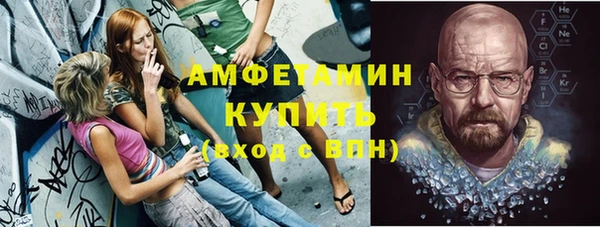ПСИЛОЦИБИНОВЫЕ ГРИБЫ Абаза