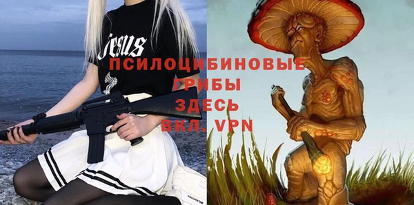 бошки Абинск