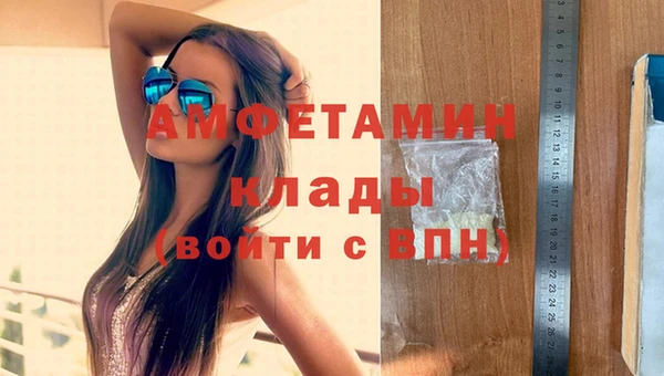 ПСИЛОЦИБИНОВЫЕ ГРИБЫ Абаза