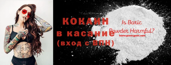 шишки Алексин