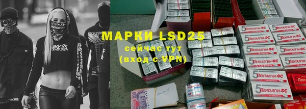 ПСИЛОЦИБИНОВЫЕ ГРИБЫ Абаза