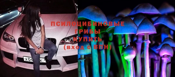 ПСИЛОЦИБИНОВЫЕ ГРИБЫ Абаза