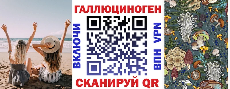 Псилоцибиновые грибы Psilocybe  где можно купить наркотик  Брюховецкая 